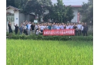 全成農(nóng)業(yè)2020年水稻品種觀摩會(huì)8月20